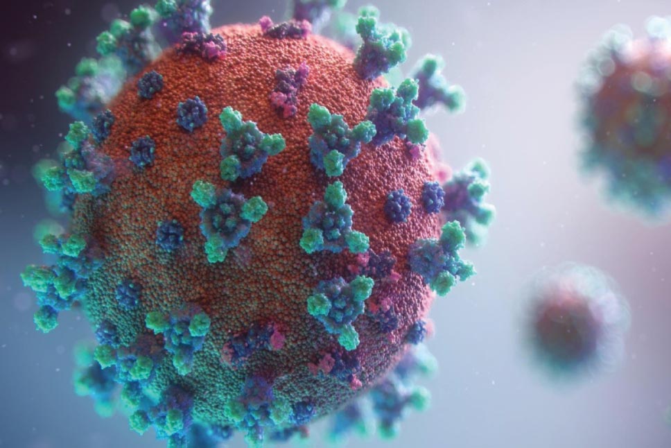 HPV